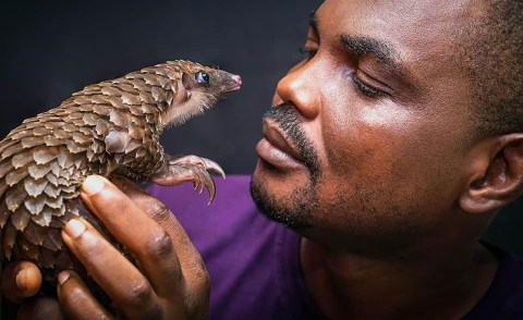 Dr Mark Ofua: ‘The Snake Man of Lagos’ and his mission to save pangolins