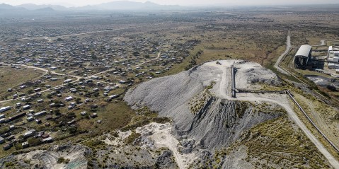 Sibanye-Stillwater flags ‘grey elephants’ as earnings sag, Nevada lithium project delayed by rare plant