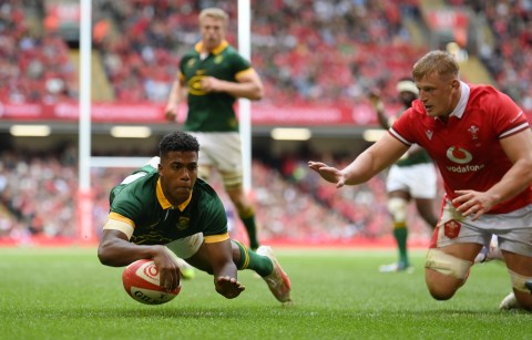 Boks v All Blacks Twickenham clash marks possible end of an era – including playing in traditional jerseys
