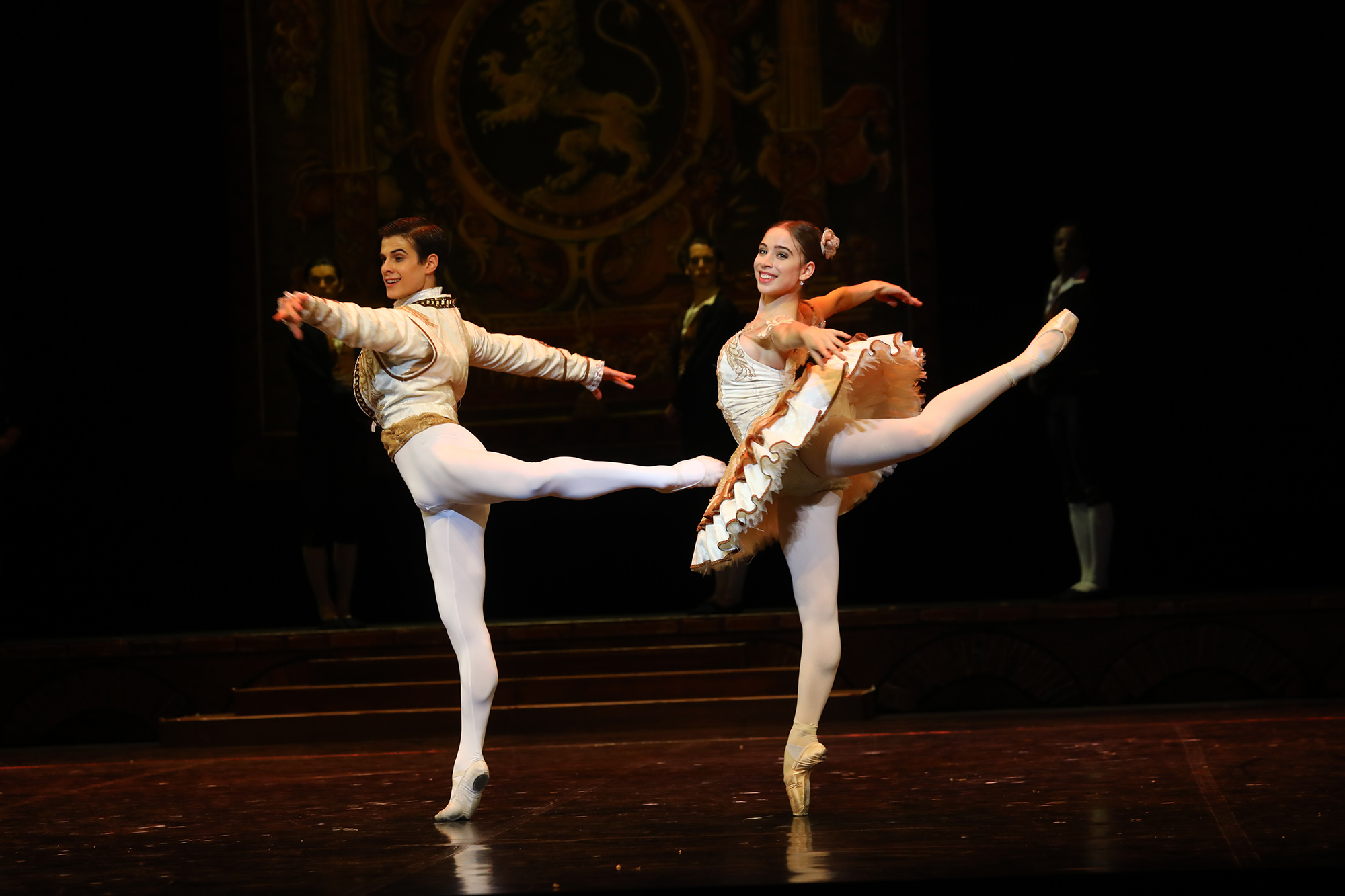 ballet don quixote