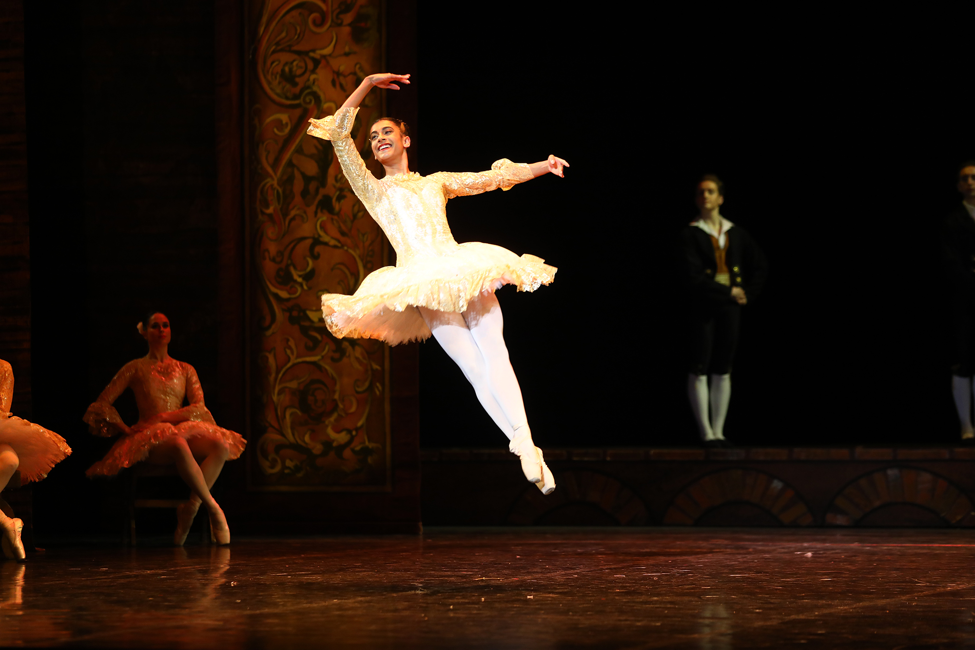 ballet don quixote