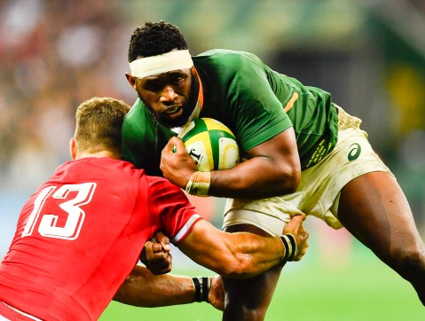 Final pieces of puzzle fall into place for Boks as Kolisi, Hendrikse and Nche back in action