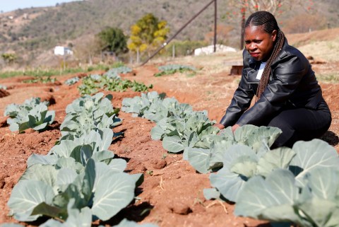 Small-scale farmers putting food back where it belongs — at the heart of communities