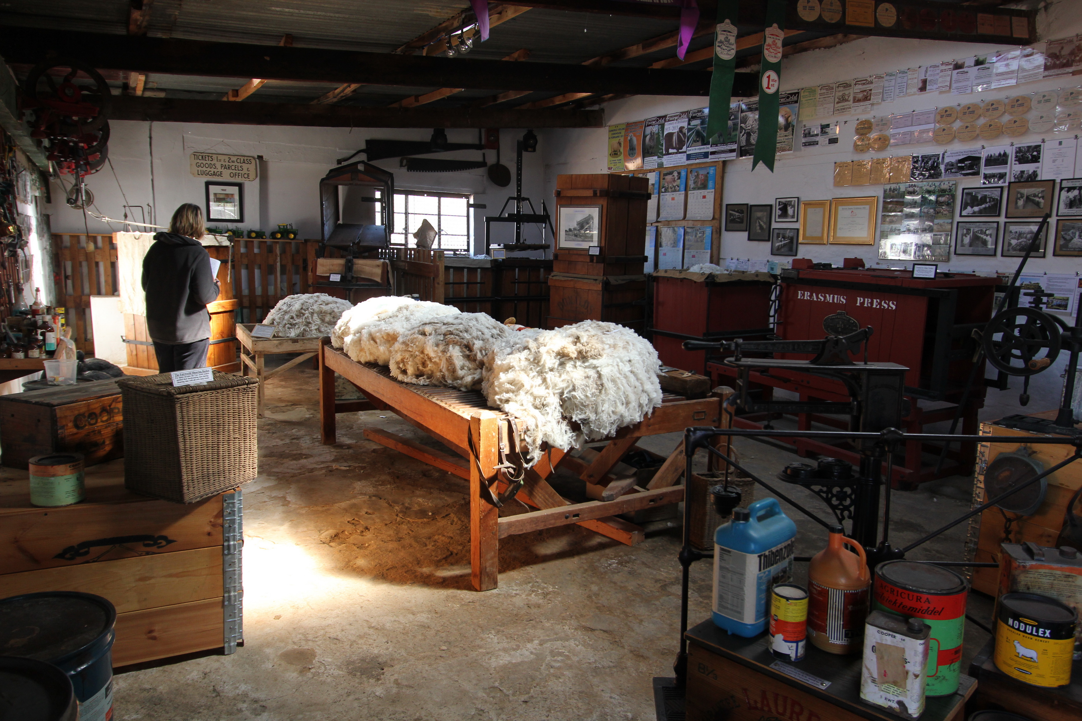 Flocking to a sheep museum in the Karoo