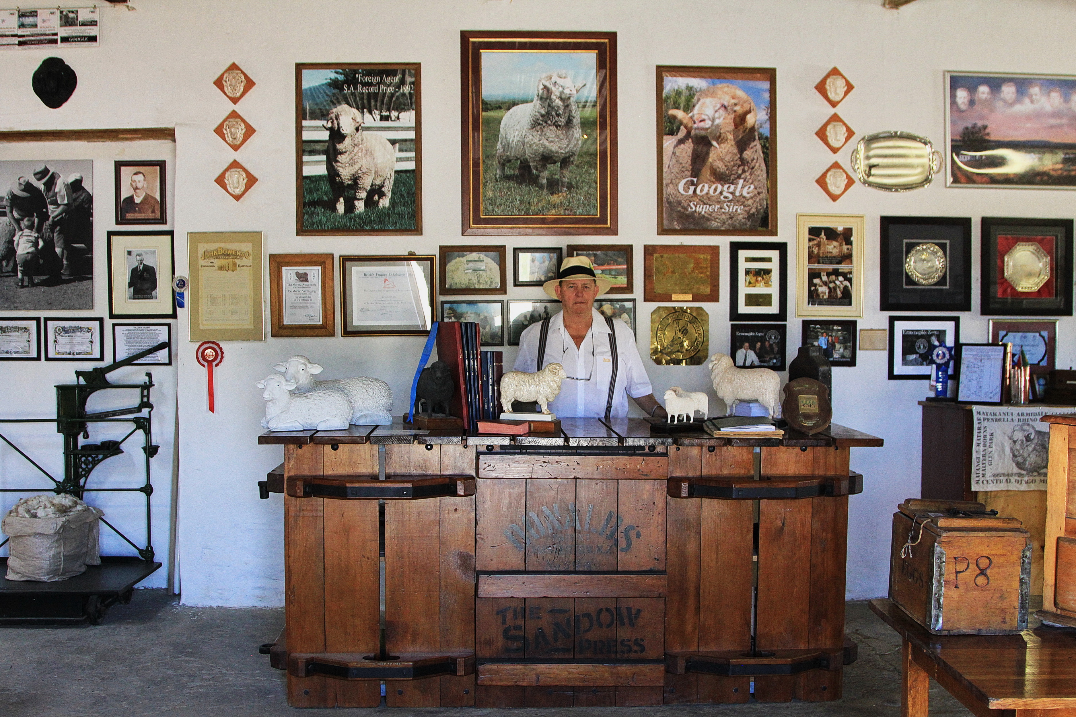 Flocking to a sheep museum in the Karoo 