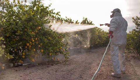UN representative calls on SA to move beyond harmful apartheid pesticide laws