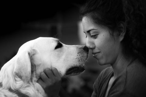 The evolutionary reasons humans love pets – and nine benefits of having one