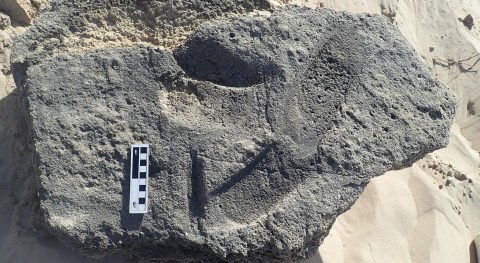Sole survivors – South African scientists follow fossil tracks for clues about ancient shoes