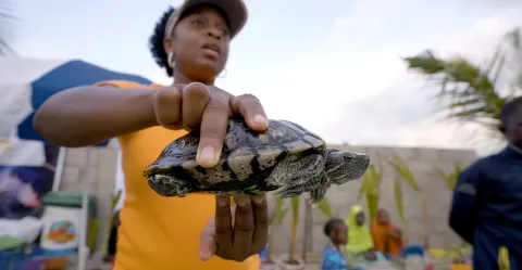 Doyinsola Ogunye — Defender of the law turned critical defender of turtles and marine systems
