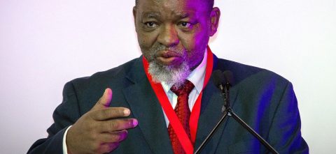 Pitting non-renewables against renewables downplays the role of fossil fuels in the energy mix, Mantashe tells conference