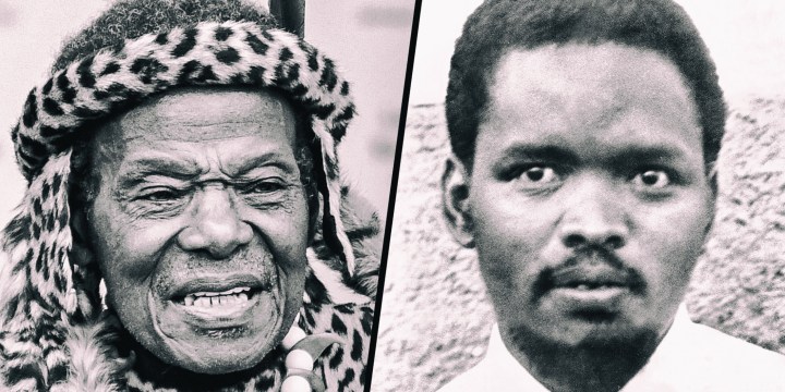 The vastly different legacies of Buthelezi and Biko