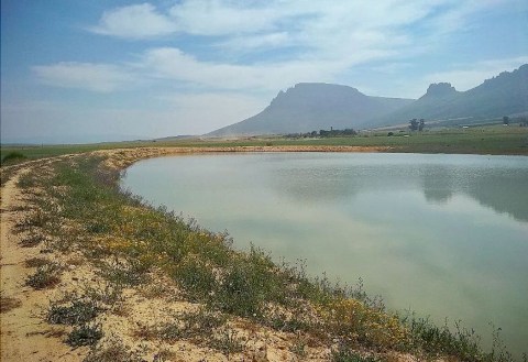 Piketberg farmer seeks ‘pardon’ for illegally enlarging dam
