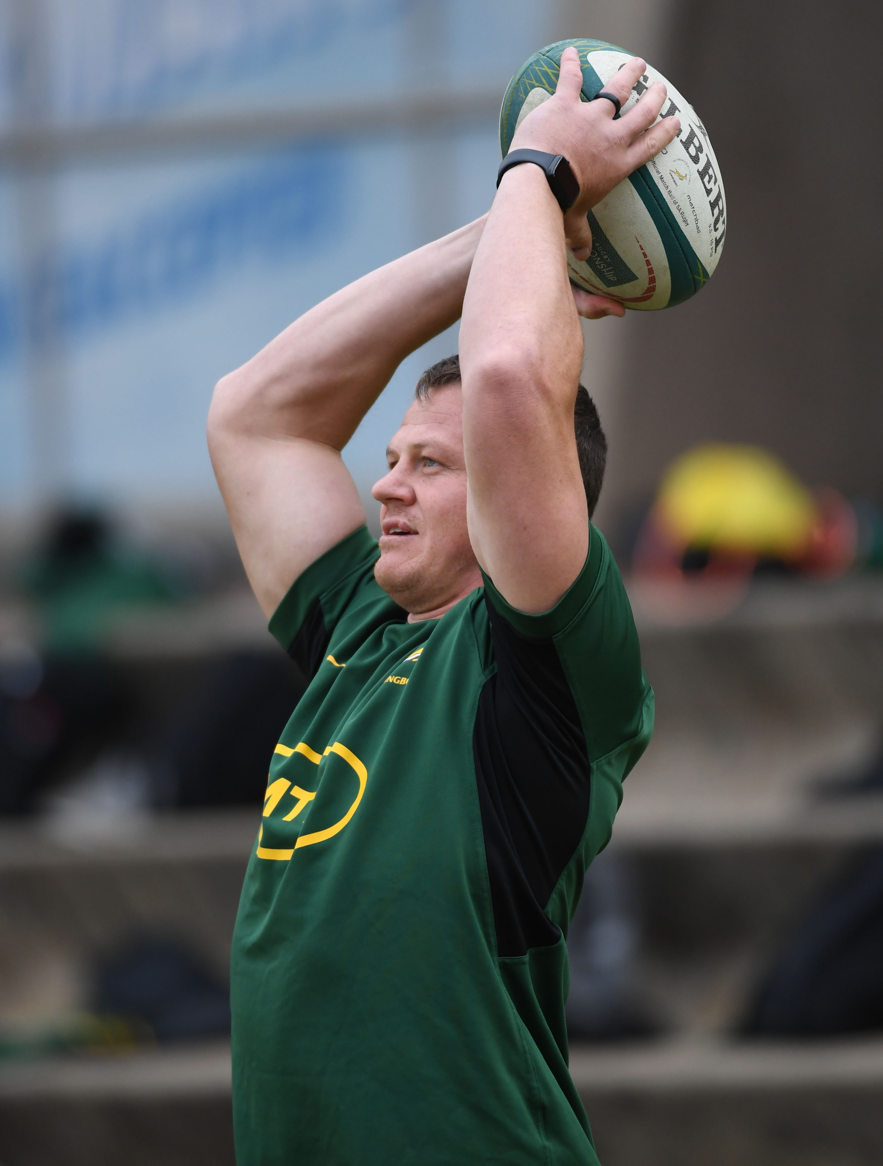 Deon Fourie, Ireland vs South Africa