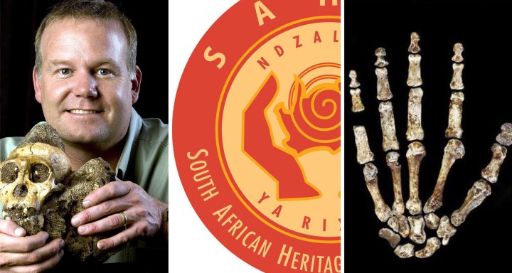 SA Heritage Resources Agency defends decision to allow rare fossils to travel with space tourists