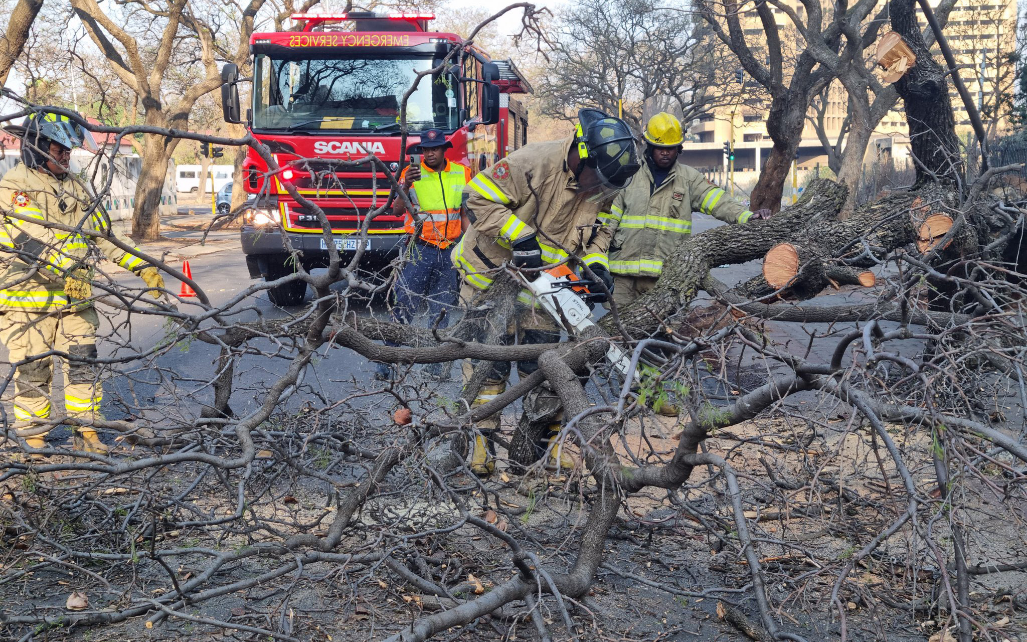 City of Tshwane emergency personnel attending a tree, Gauteng storm