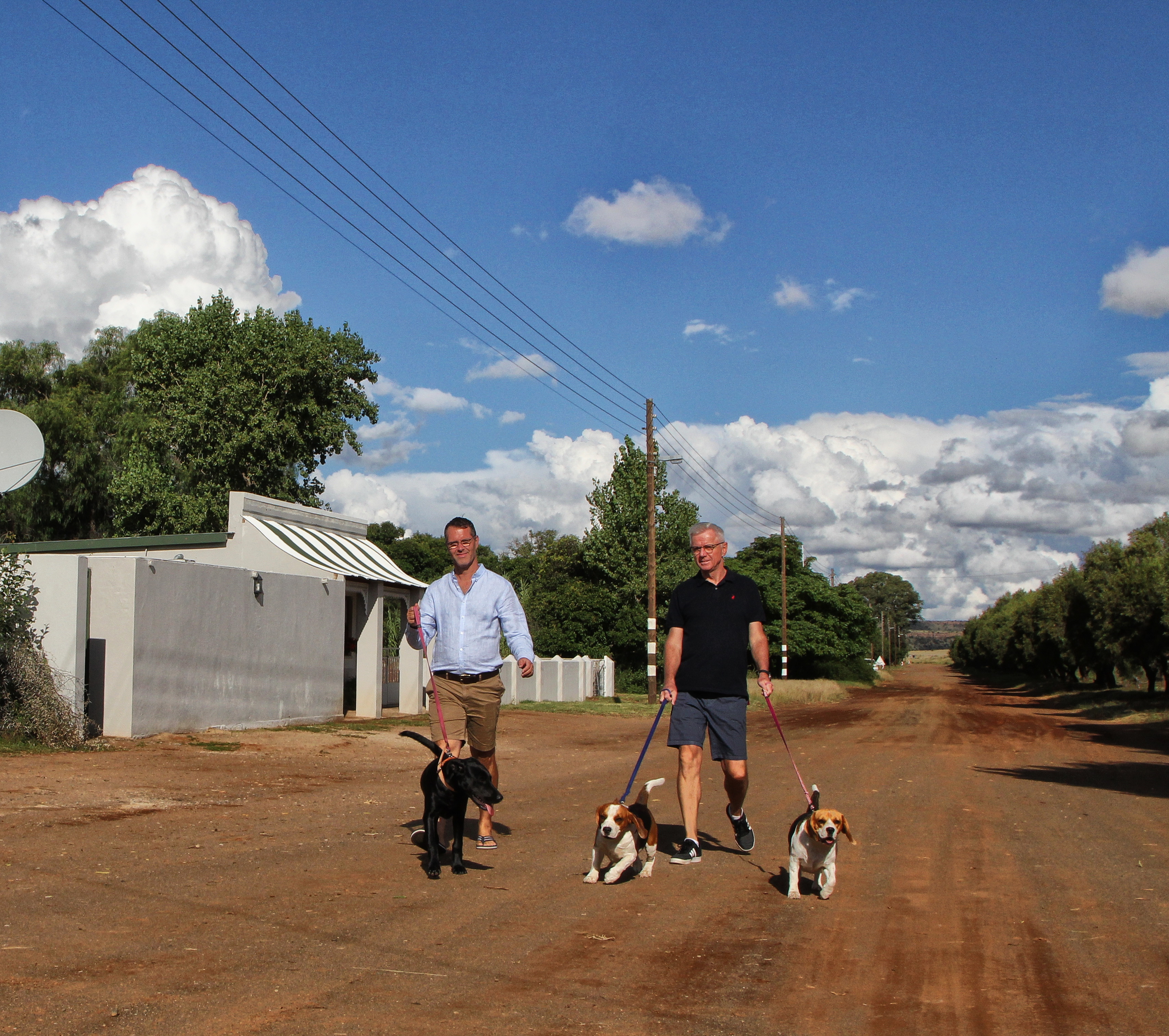 Philippolis, Free State: Never under-estimate the value of being able to walk your dogs on a dirt road under open skies. Image: Chris Marais