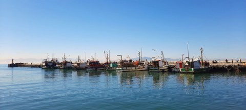 The bureaucratic nightmare: Unlicensed Kalk Bay fishers beached by fishing quotas