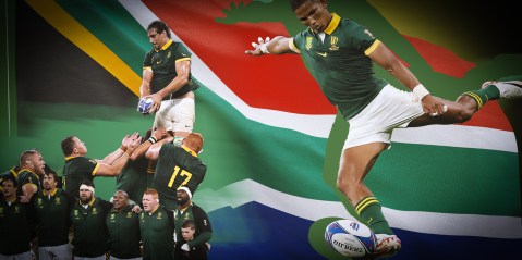 Our thanks to the Springboks for providing South Africa with a little light in dark global times