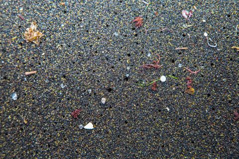 Microplastics can poison our health and living environment — here’s how to reduce our exposure to them