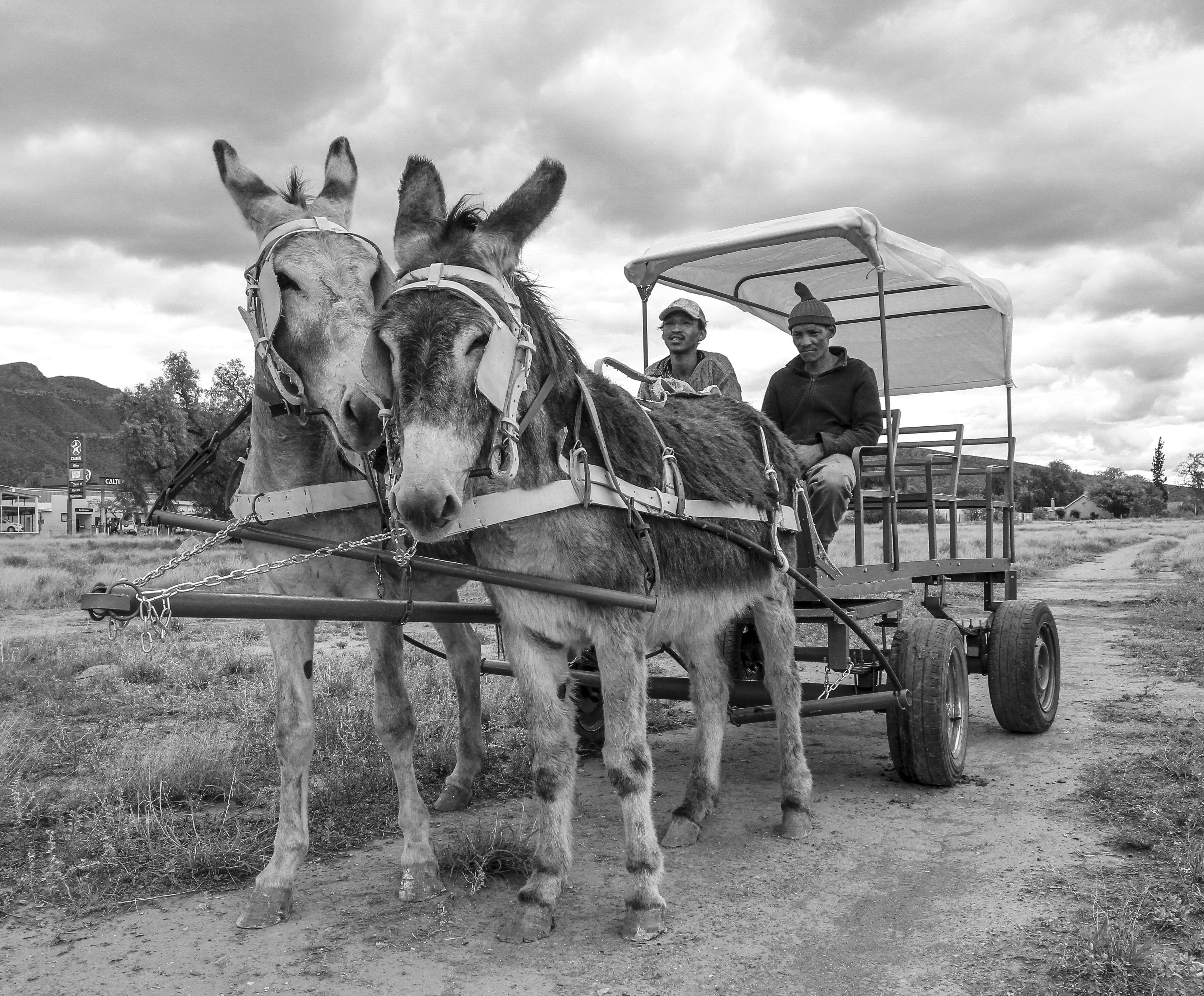 Graaff-Reinet has its own donkey cart manufacturing business. Image: Chris Marais