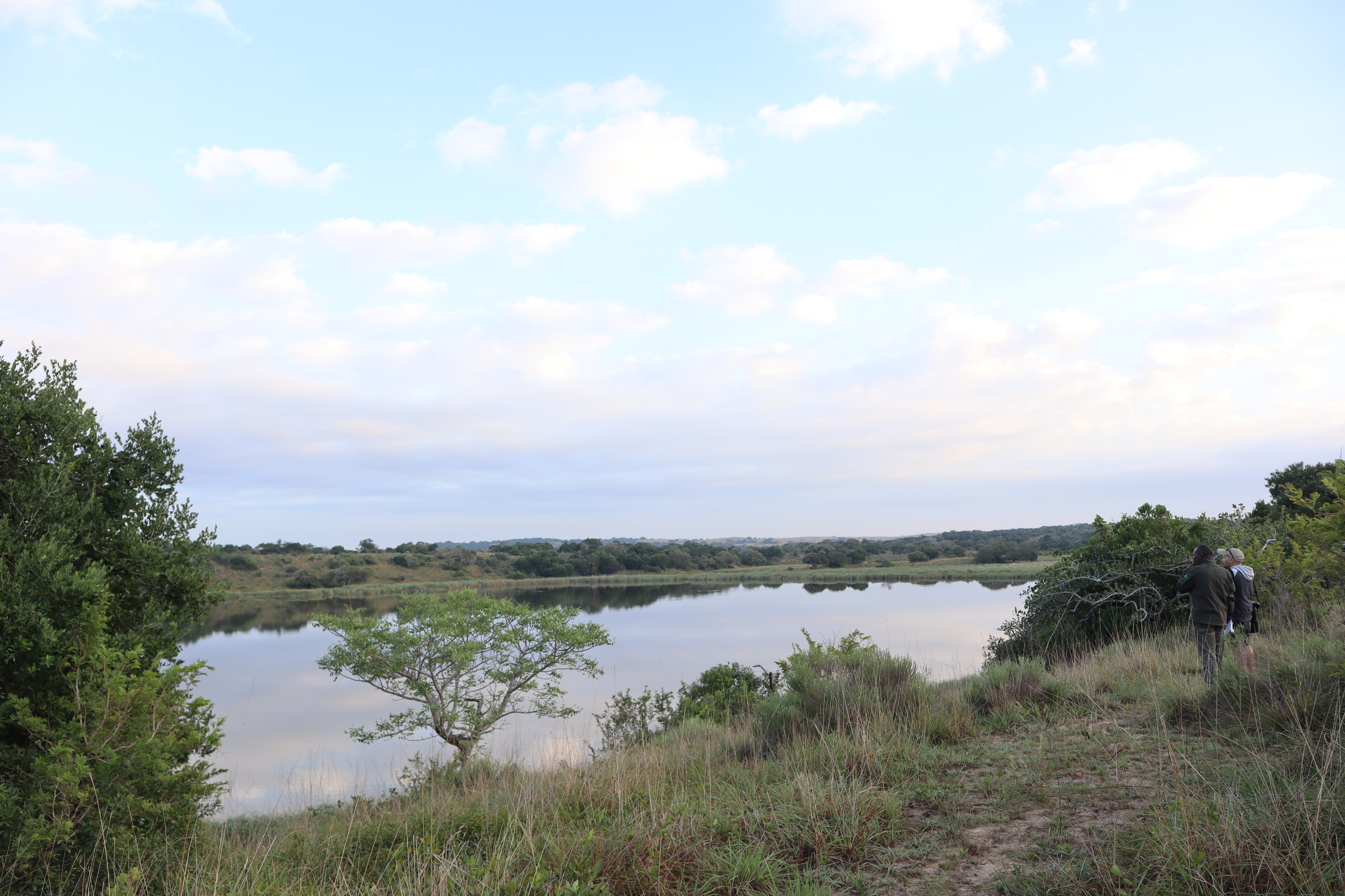 A lake within Maputo National Park