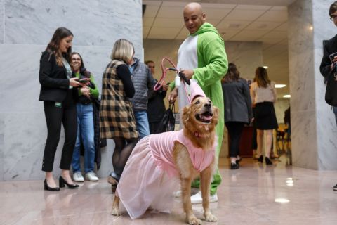 Dogs dress up for ‘BiPAWtisan Howloween’, and more from around the world