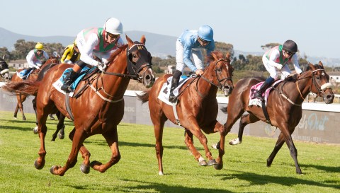 Enthusiastic duo saddles up to save horse racing in the Western Cape