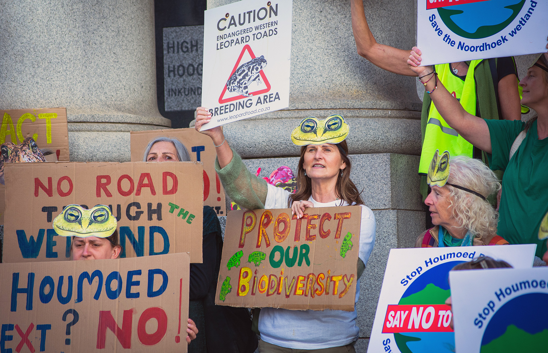 road threat toads
