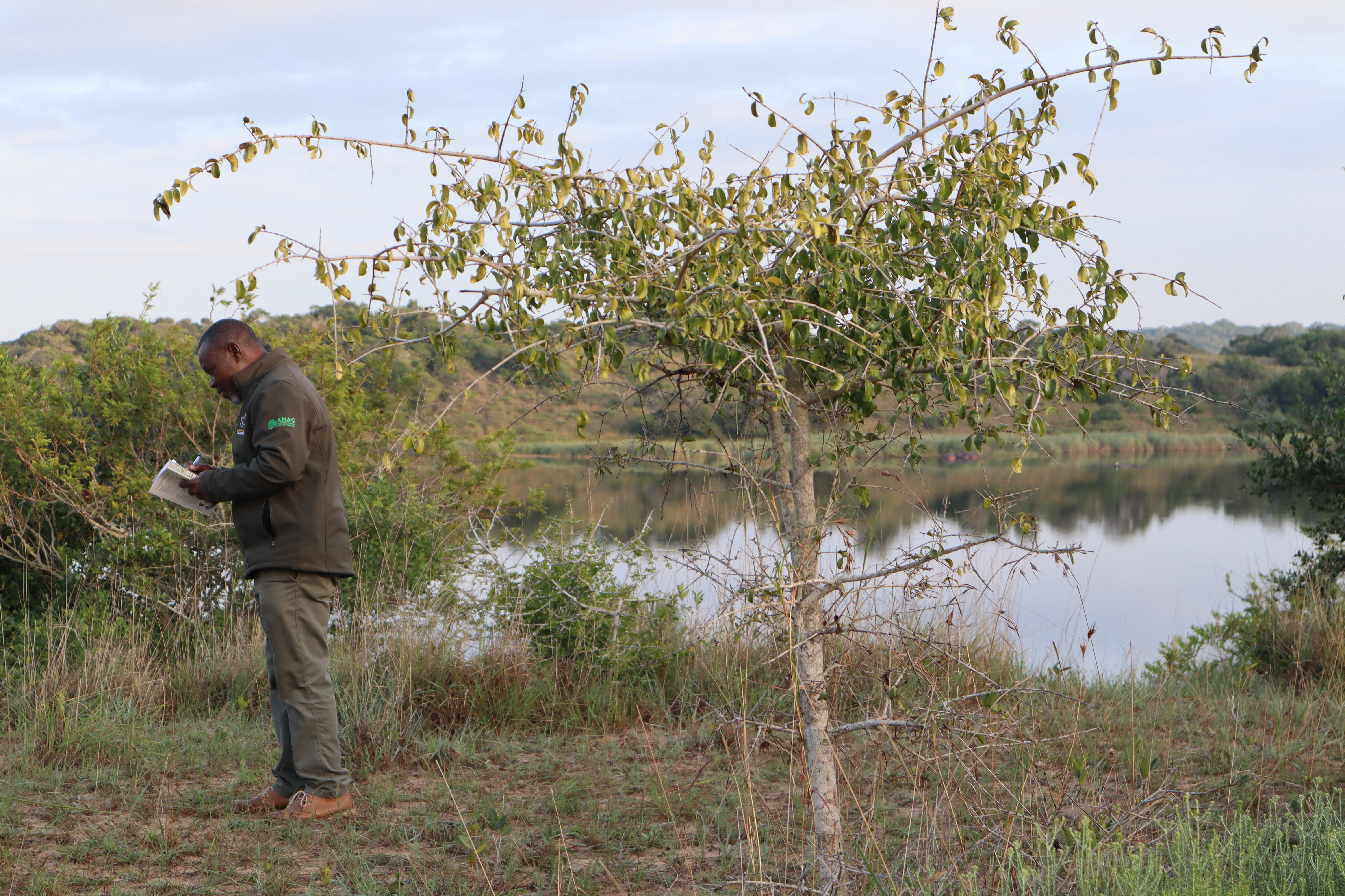 Rodolfo Cumbane consulting his bird guidebook at the edge of a lake within Maputo National Park. 