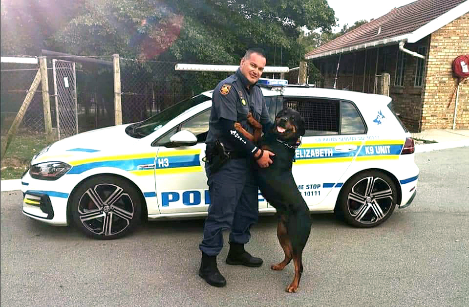 police dog mufasa
