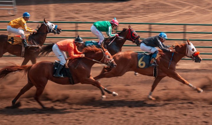 Do racehorses even know they’re ‘racing’ each other? It’s unlikely