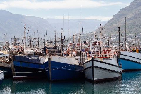 Western Cape small-scale fishers finally net their long-awaited fishing permits
