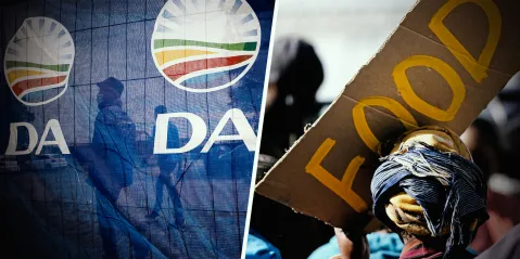DA’s solutions to SA’s hunger crisis should have columnist Tim Cohen’s support, not his disdain