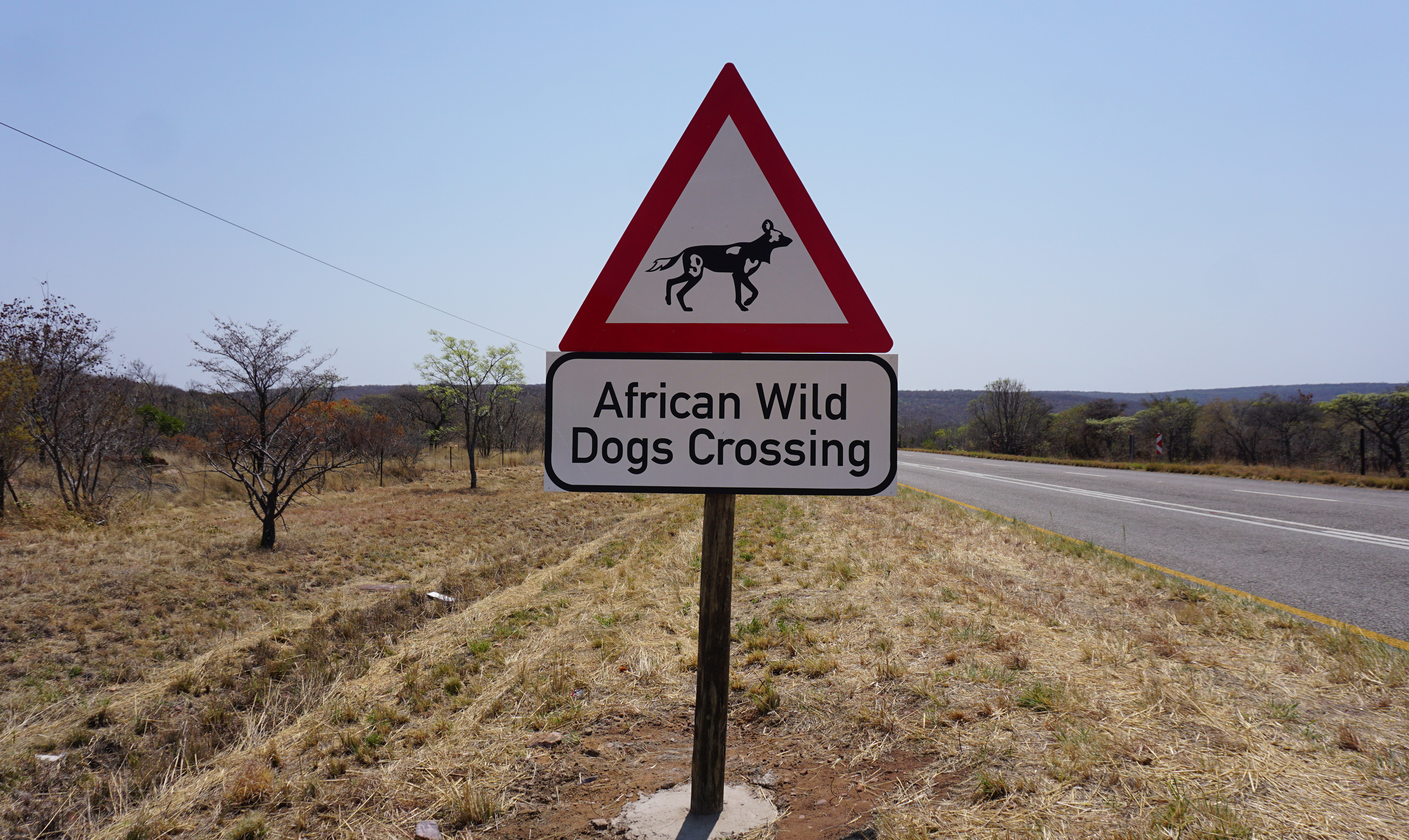 Wild dogs crossing sign