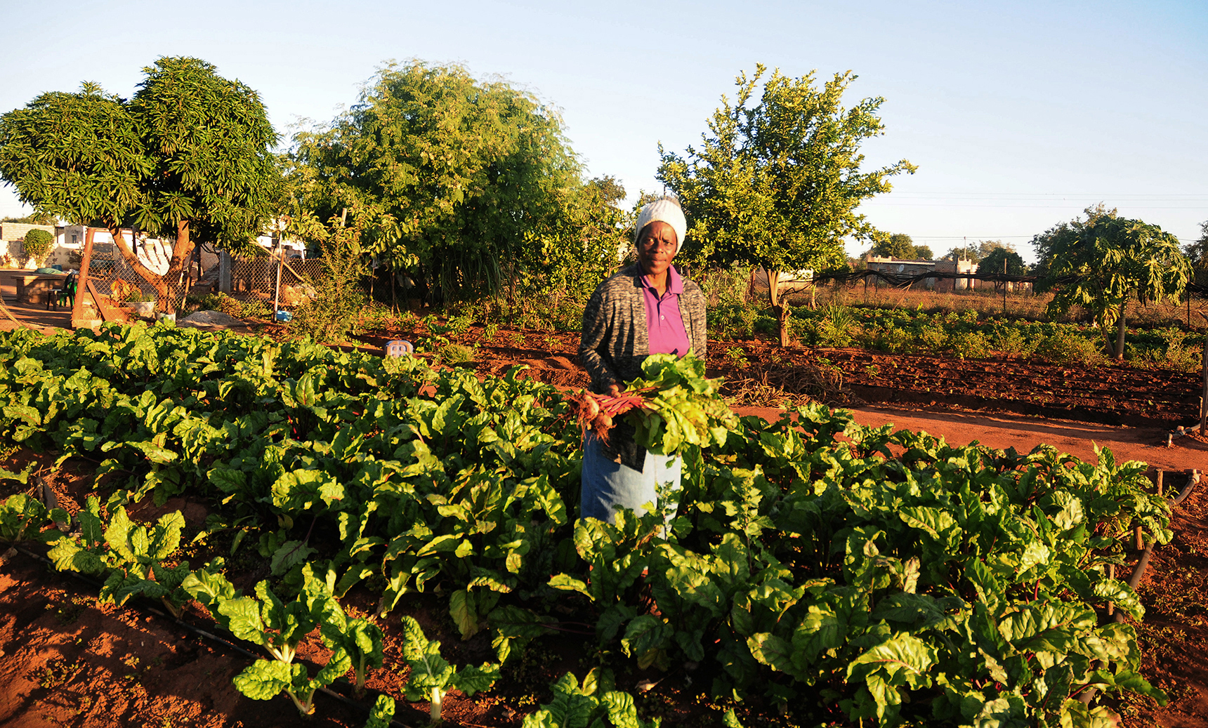 Women-led enterprise in southern-Africa