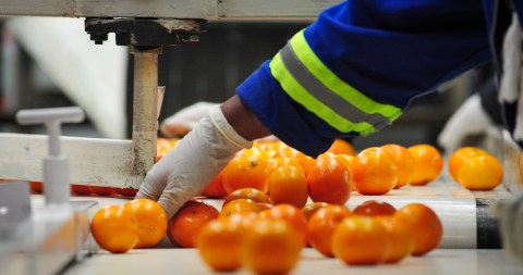 South Africa turns in solid agricultural export performance in third quarter