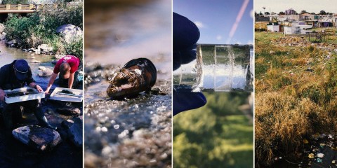 Heavy metal stars — how artificial mussels are used to monitor water pollution