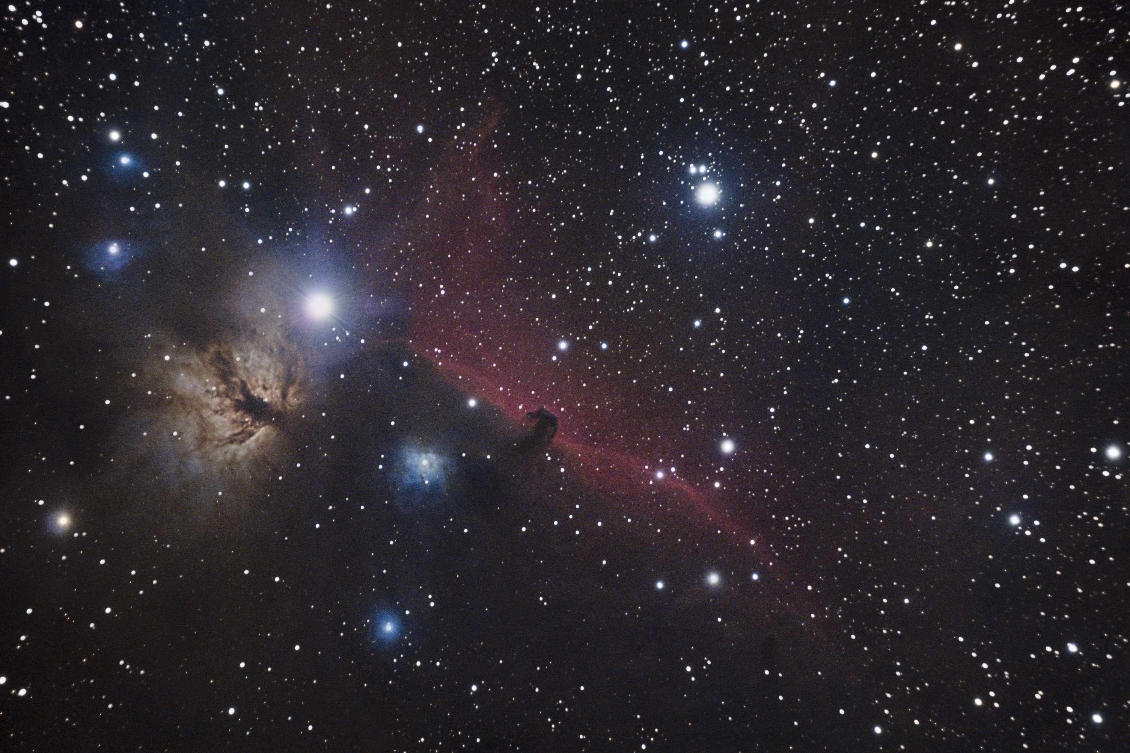 An Image composed of the integration of 1 hour of photographic exposures shows the Horsehead Nebula, located in the Orion constellation about 1,500 light years from Earth seen from the Cantabrian town of La Hayuela, Spain, 22 November 2023. Image: EPA-EFE/PEDRO PUENTE HOYOS