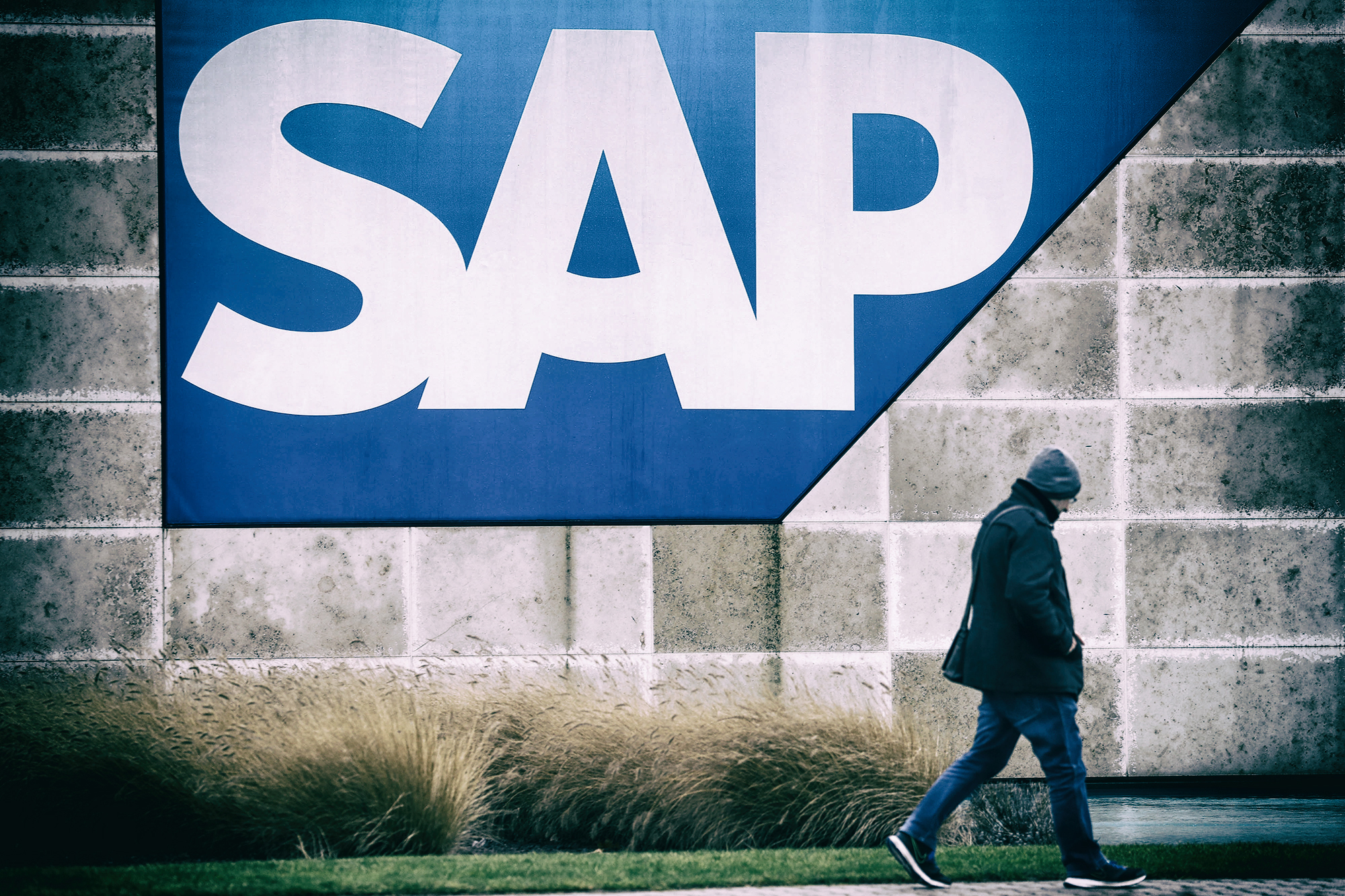 SAP shares surge to all-time high, plans to restructure 8,000 jobs