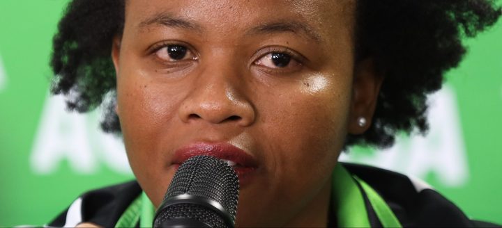 Musical chairs? Broke Tshwane gets deputy mayor after DA-ActionSA deal, but opposition unimpressed