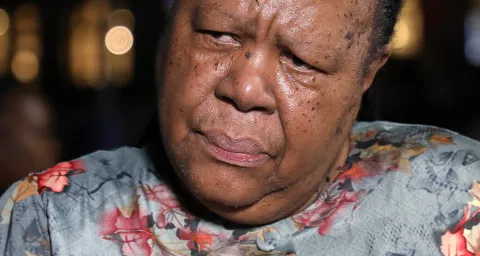 Pandor urges intensified South African university activism against Israel