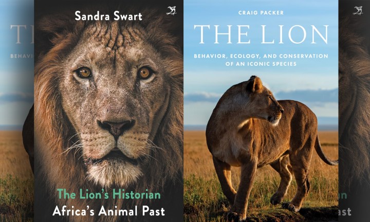 The lion’s scientist and the lion’s historian track historical and natural spoor