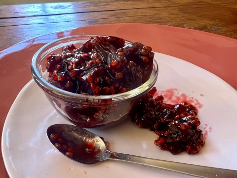 Throwback Thursday: Red prickly pear jam