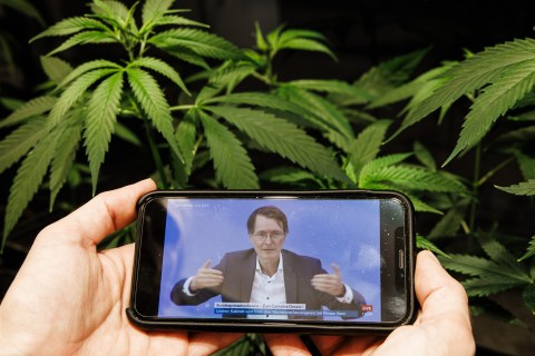 Germany set to join legal cannabis club