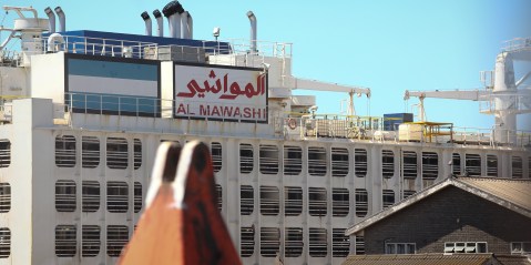 Why authorities could not confiscate distressed cattle on Al Kuwait livestock carrier