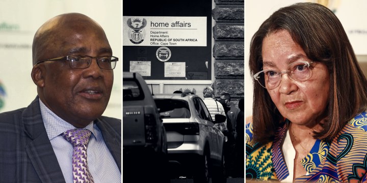 Motsoaledi should be held accountable for visa fiasco, not encouraging job creation — Fedhasa