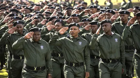 Army training for controversial Gauteng Crime Prevention Wardens raises concerns