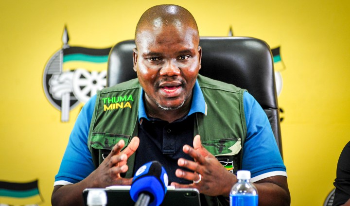 ANC ‘made many mistakes’ but will correct them in the next five years, says election team head