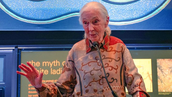 Jane Goodall: ‘I had to give up what I love best’ at Gombe to inspire biodiversity conservation