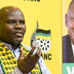 Party should never have put Zuma’s interests above its own, says ANC elections head